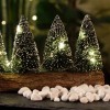 Green Pine Trees with Wooden Base - Magasins Hart | Hart Stores