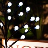 Branch Tree with LED Light Balls - Magasins Hart | Hart Stores
