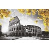 COLOSSEUM 70X110