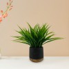 Grass Cement Blk Pot Wood Base 30.5x30.5