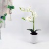 Orchid White Pot 33x17.5x45.5