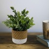 Grass Cement Stitch Pot Grey Beige 22x23