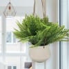 Fern White Ceramic Pot W/rope