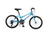 Phoenix - Girls Bike with 7 Speeds (20