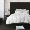 Lauren Taylor - White Goose Feather Filled Pillow - Magasins Hart | Hart Stores
