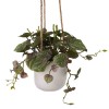 Artificial Hanging Plant White Ceramic Pot