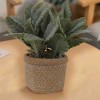 Artificial Lamb's Ear in Beige Cement Pot
