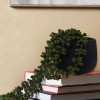 Artificial String of Pearls in Marble & Indigo Cement Pots