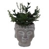 Artificial Succulent Plant in Buddha Head Cement Pot