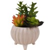 Artificial Succulent Plants in White Ceramic Footed Pot