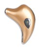 Heating Beauty Face Massager Gold/silver