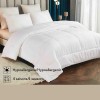 STUDIO 707 - Microfiber Duvet