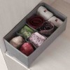 LE SPA - 8-GRID UNDERWEAR ORGANIZER