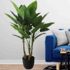 LAURENT TAYLOR - Aureum Bonsai 3 Trunk 30 leaves