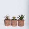 Succulents Mini Aztec Ceramic Pot