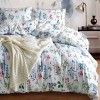 Lauren Taylor - Carmen Comforter Set