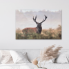 deercanvas