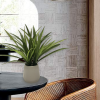 Tall Leaf Plant In White Ceramic Pot 54*42