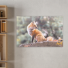 fox canvas