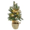 Lauren Taylor - Xmas Snowy Pine Tree W/ 20 LED