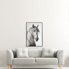 Canvas Horse Framed 75x115