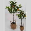 Lauren Taylor - Artificial Lemon Tree in Wicker Pot