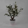 Lauren Taylor - Artificial Olive Tree