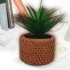 Lauren Taylor - Artificial Succulent in Cement Pot