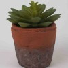Lauren Taylor - Artificial Succulent in Terra Cotta Pot
