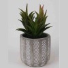 Lauren Taylor - Artificial Succulents in Grey Cement Pots
