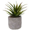 Lauren Taylor - Artificial Succulents in Grey Cement Pots