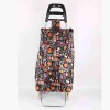 LAUREN TAYLOR - SHOPPING TROLLEY
