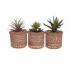 Succulents Mini Aztec Ceramic Pot