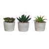 3pc Succulents In Geo Grey Cement Pot