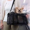 PAWS & WHISKERS - Pet Travel Carrier