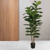 Fiddle Fig Tree 140cm 3 Real Trunk 61 Silk Leaves