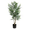 ACACIA TREE