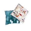 Velvet Cushions