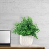 LAUREN TAYLOR - Grass in Chevron White Pot