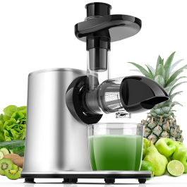 2 Speed Slow Juicer